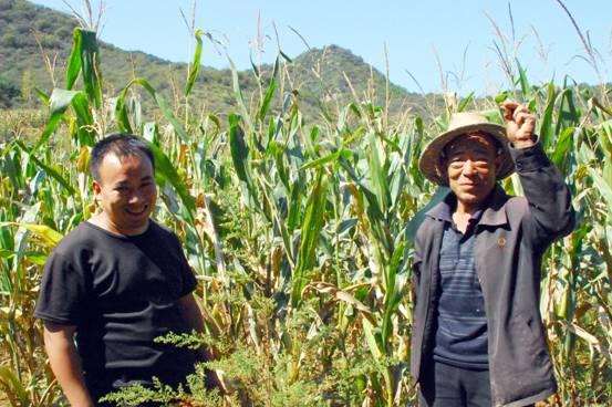 中石油買山造地留住農(nóng)民的根