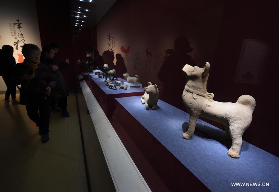 CHINA-NANJING-MUSEUM-DOG(CN)