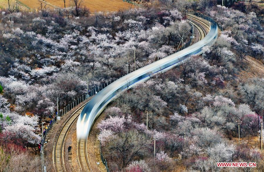 XINHUA-PICTURES OF THE YEAR 2017-CHINA