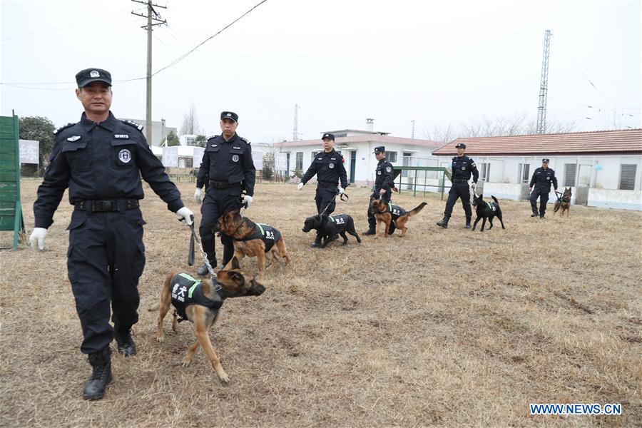 #CHINA-WUHAN-RAILWAY STATION-POLICE DOG (CN)