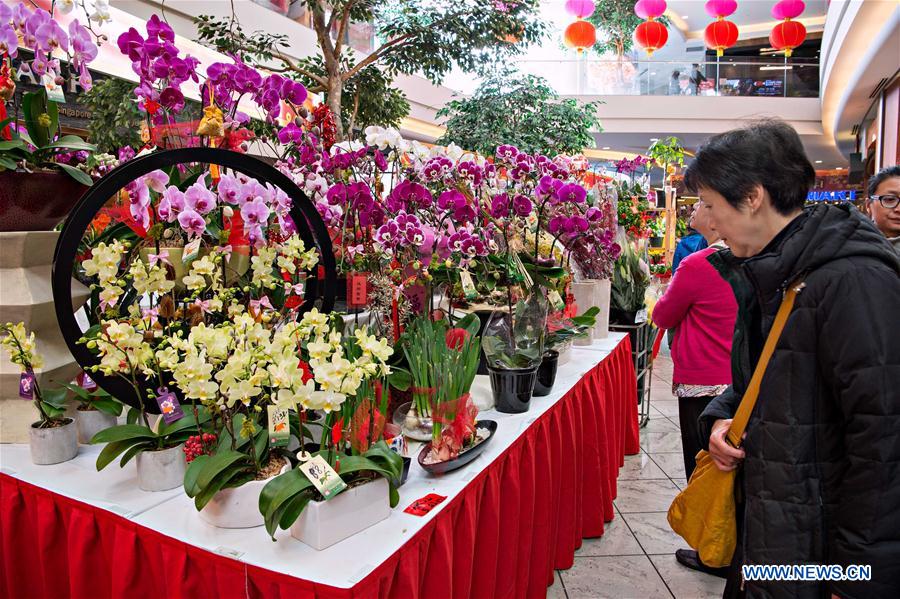 CANADA-VANCOUVER-CHINESE-NEW-YEAR-FLOWER