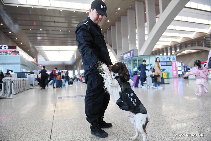 CHINA-SHIJIAZHUANG-POLICE DOG(CN)