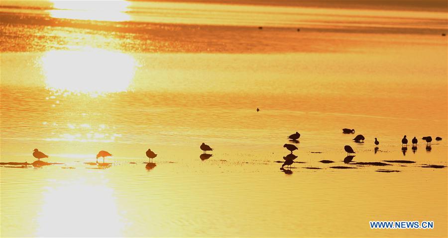 CHINA-YUNNAN-NIANHU LAKE(CN)