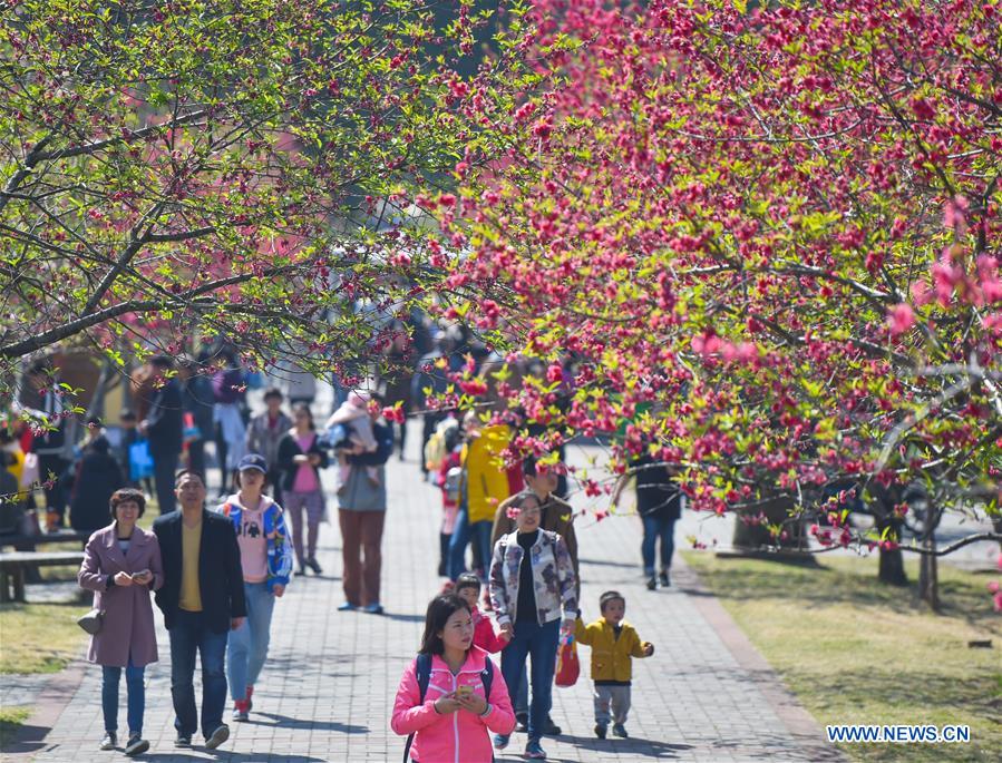 CHINA-FUZHOU-SPRING SCENERY (CN)