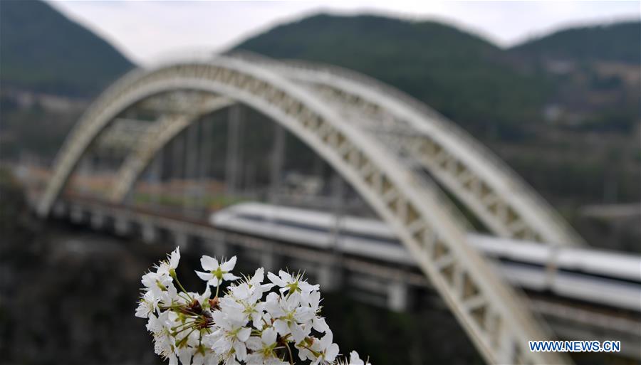 #CHINA-HUBEI-SPRING SCENERY (CN)