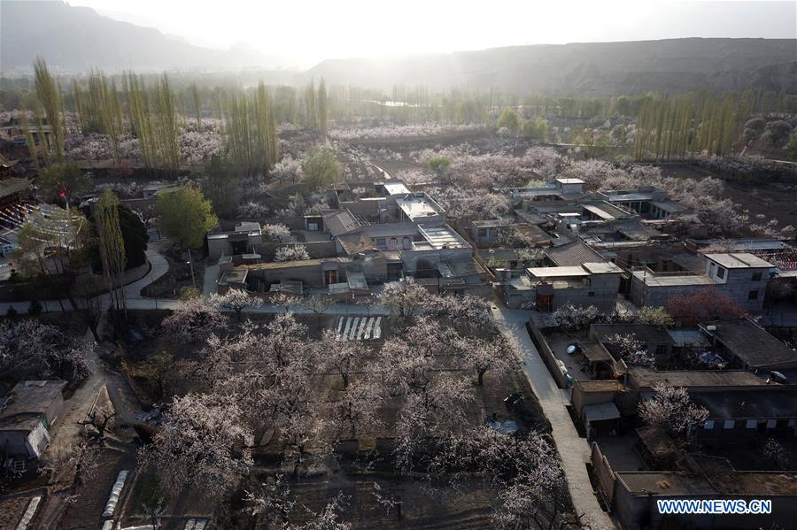 CHINA-GANSU-SPRING SCENERY (CN)