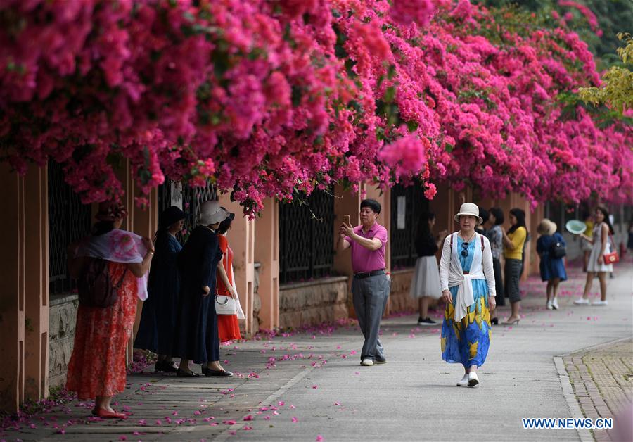 CHINA-NANNING-PLUM FLOWERS (CN)