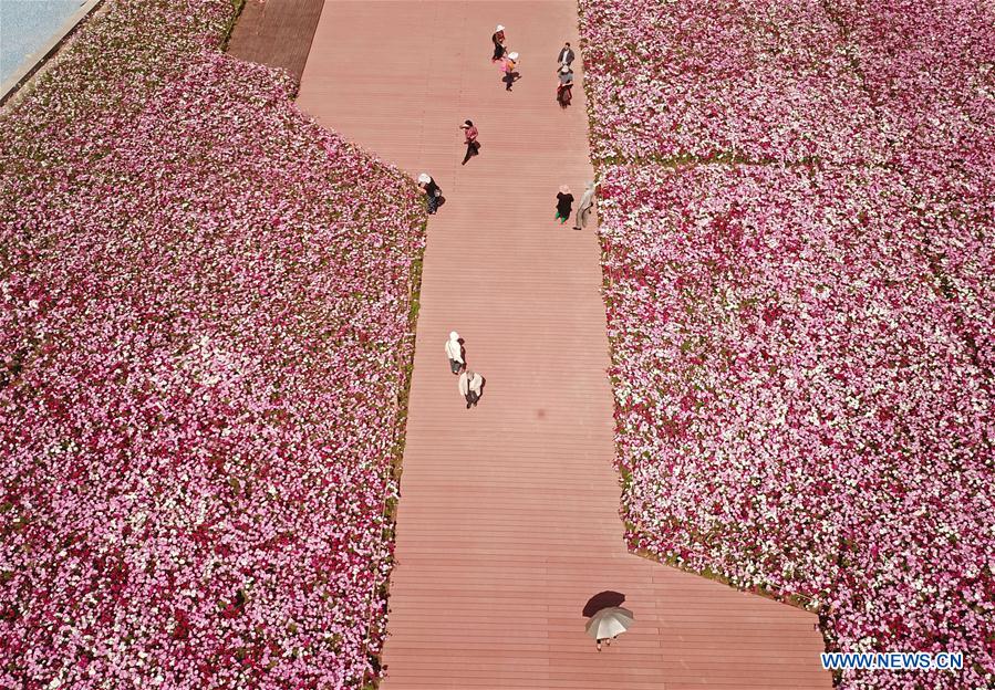 CHINA-GUANGZHOU-SPRING VIEWS (CN)