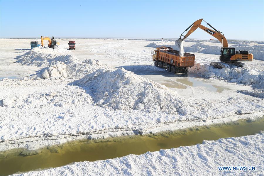 #CHINA-XINJIANG-SALT HARVEST (CN)