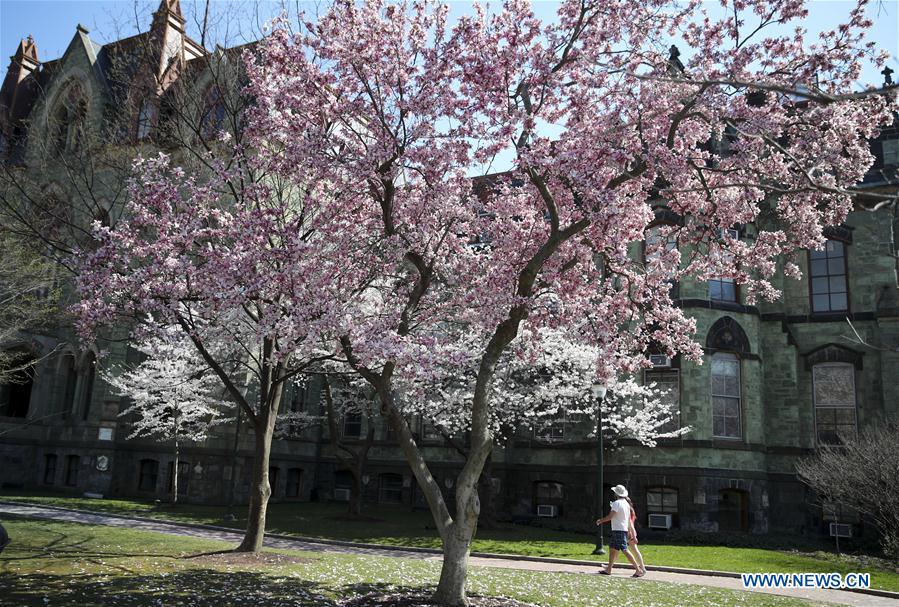 U.S.-PHILADELPHIA-SPRING-BLOSSOM