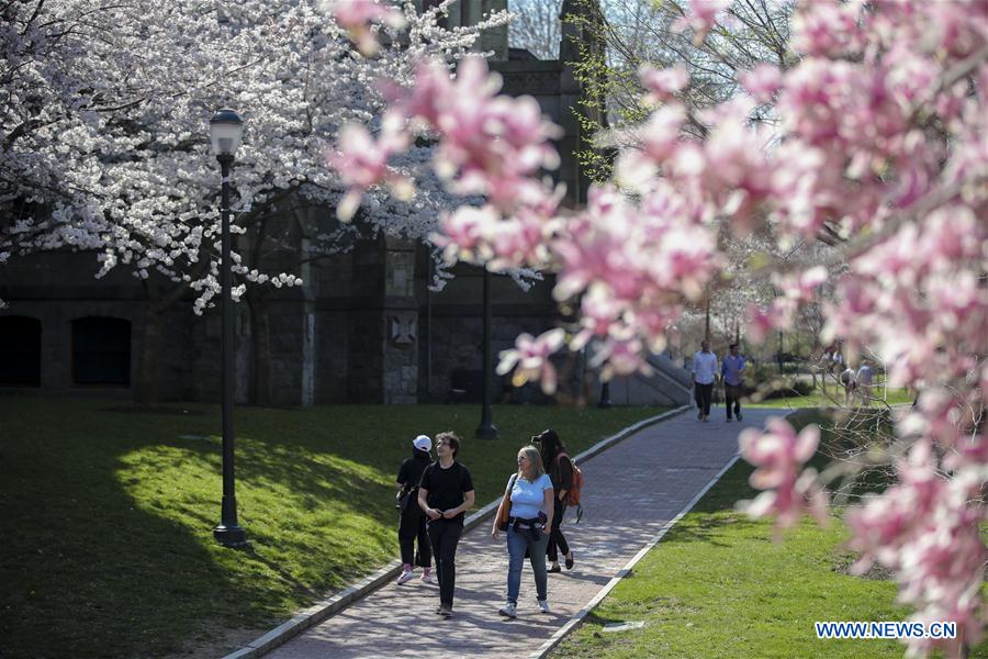 U.S.-PHILADELPHIA-SPRING-BLOSSOM