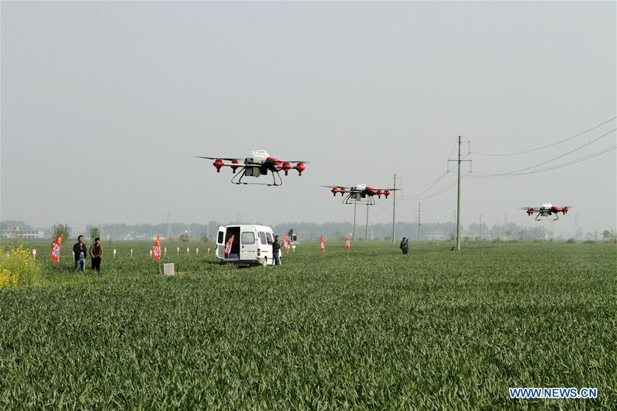 #CHINA-SPRING-FARM WORK(CN)