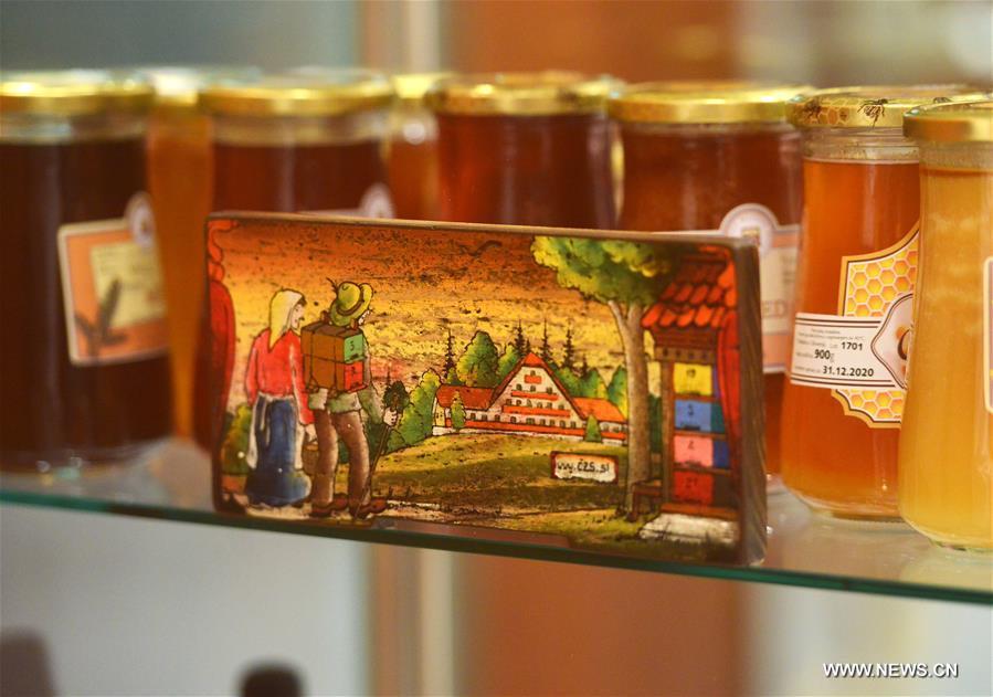 SLOVENIA-LJUBLJANA-EXHIBITION-WORLD BEE DAY