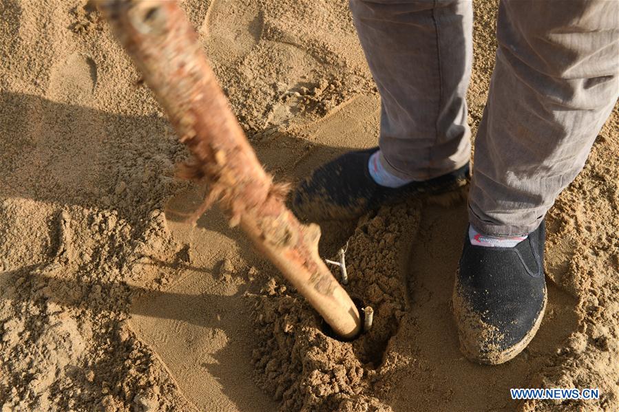 CHINA-INNER MONGOLIA-KUBUQI DESERT-WORKERS (CN)