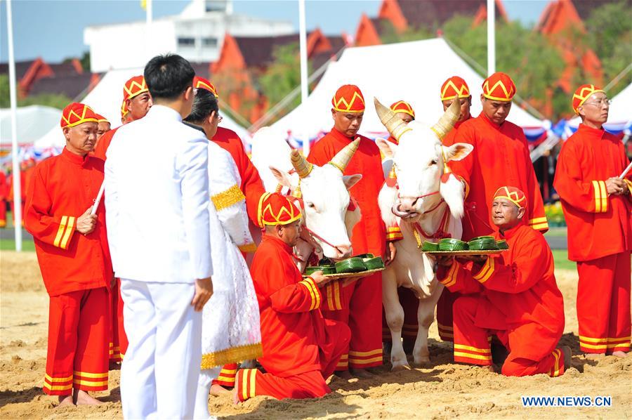 THAILAND-BANGKOK-ROYAL PLOUGHING CEREMONY