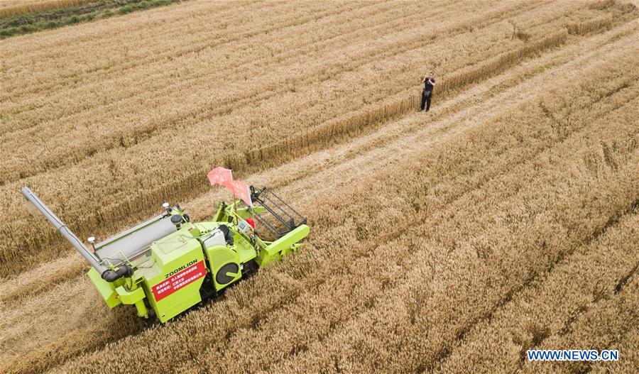 CHINA-JIANGSU-AGRICULTURE-TECHNOLOGY-PILOT PROGRAM (CN)