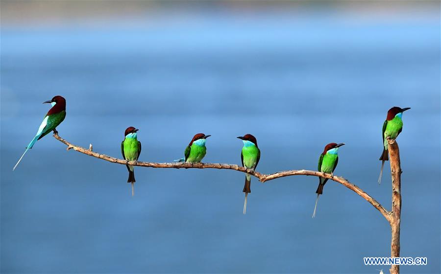 XINHUA PHOTO WEEKLY CHOICES