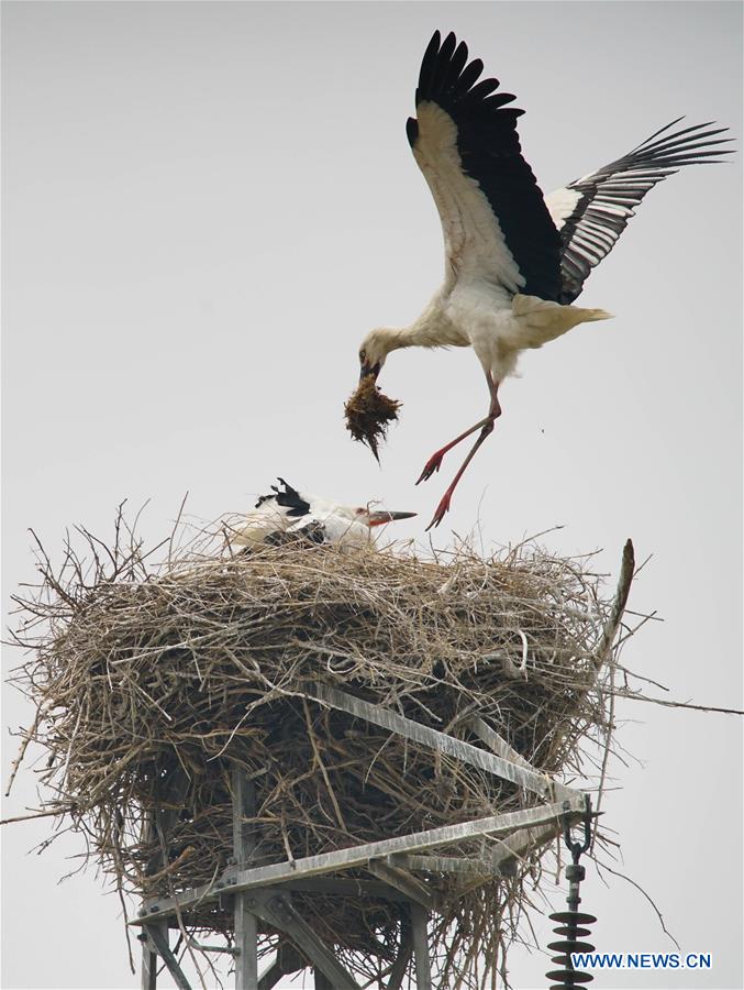 XINHUA PHOTO WEEKLY CHOICES