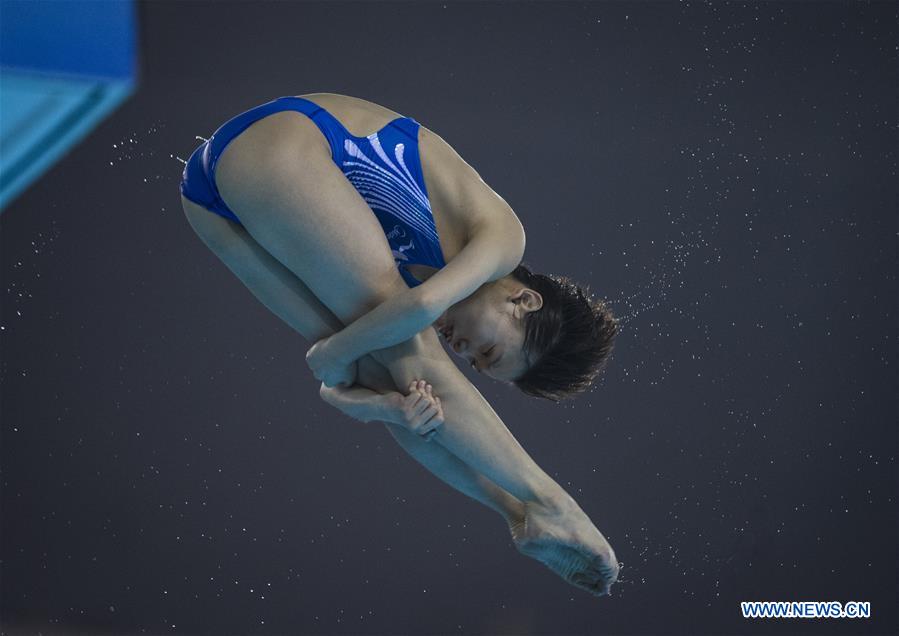 (SP)CHINA-WUHAN-DIVING-FINA-WORLD CUP (CN)