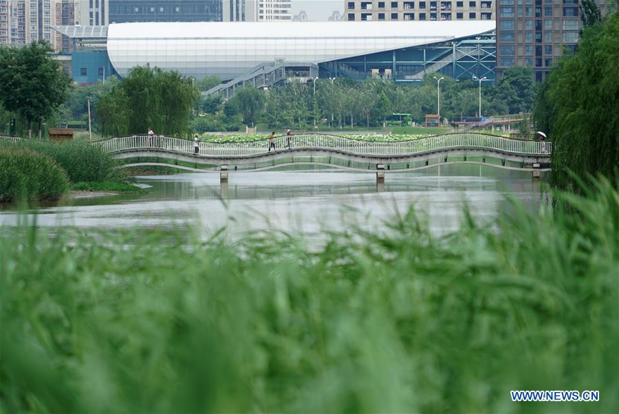 CHINA-SHAANXI-XI'AN-WETLAND-ECOLOGY (CN)