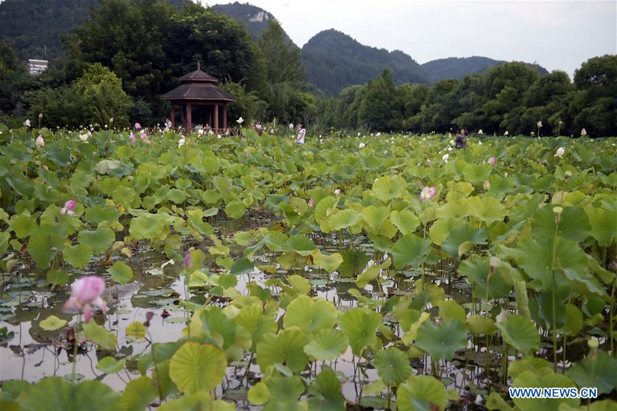 CHINA-GUIZHOU-ECO FORUM-UPCOMING (CN)