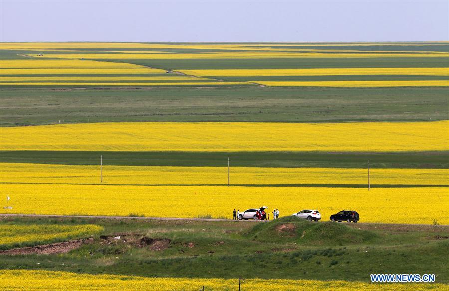 #CHINA-SUMMER-NATURE (CN)