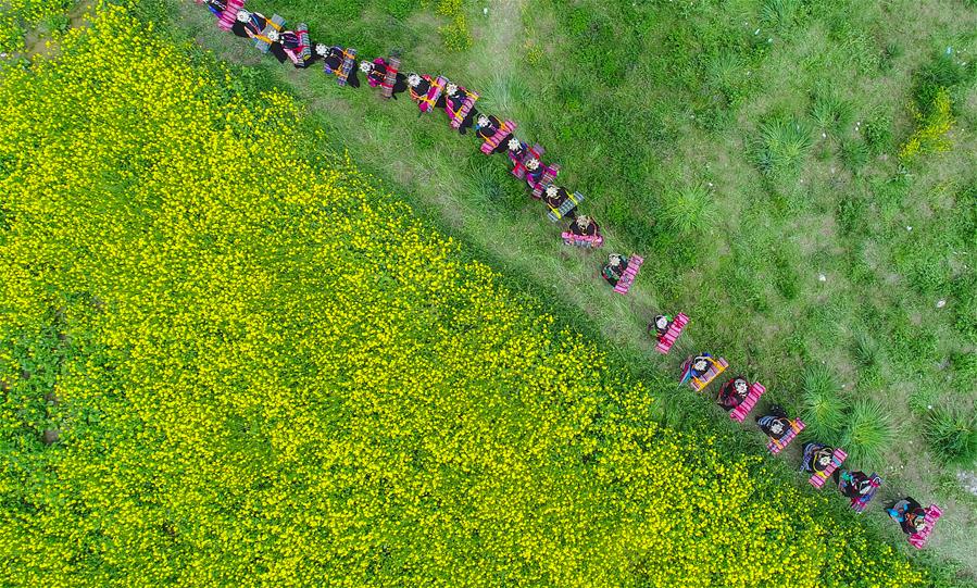 Xinhua Headlines: Qinghai-Tibet Plateau still one of cleanest regions on earth