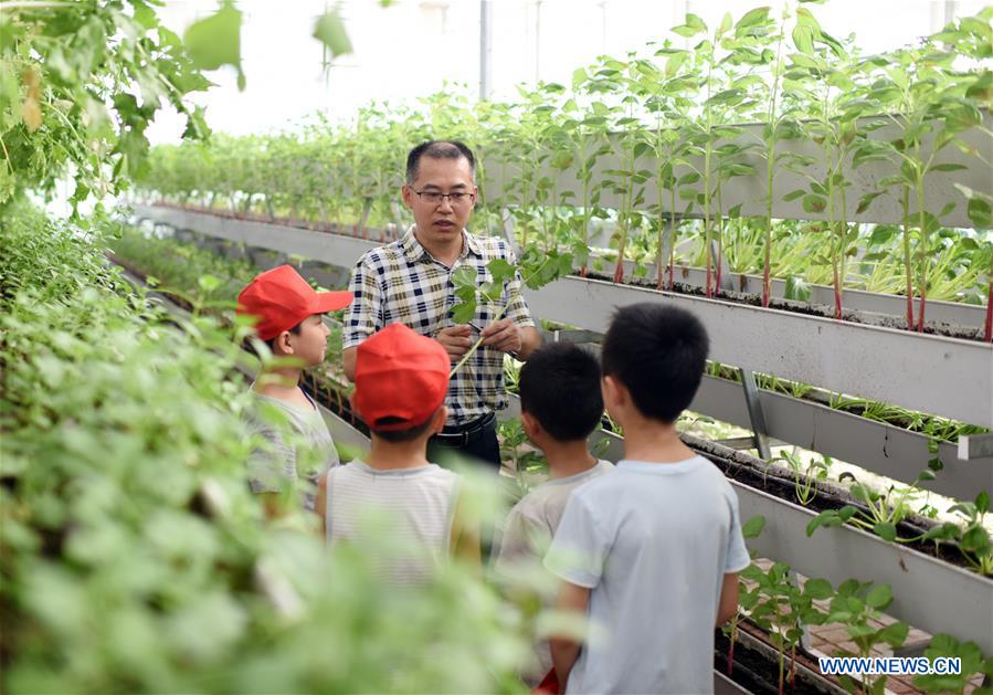 CHINA-HEBEI-HENGSHUI-CHILDREN-MODERN AGRICULTURAL GARDEN (CN)