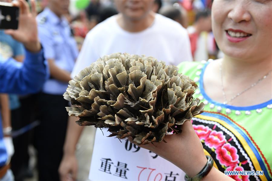 #CHINA-YUNNAN-WILD FUNGUS FOOD CULTURE FESTIVAL (CN*)