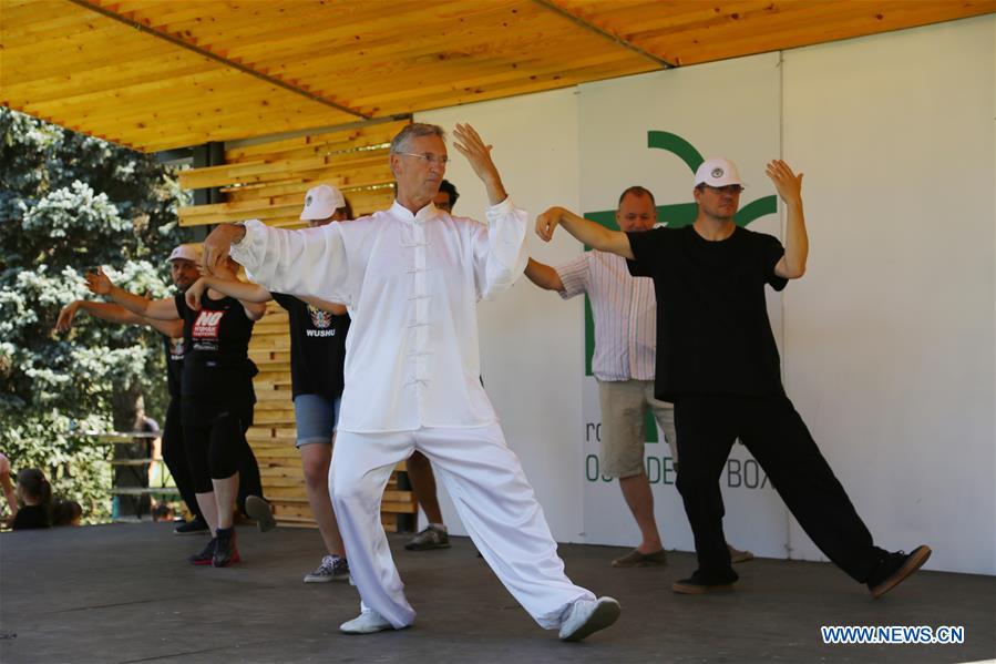 (SP)ROMANIA-BUCHAREST-WORLD WUSHU KUNGFU DAY-CELEBRATION