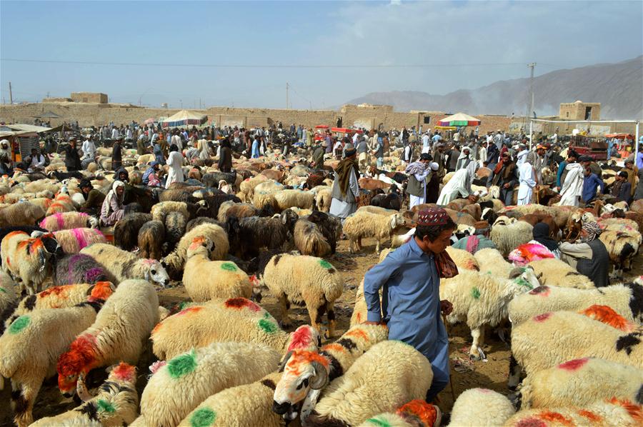 PAKISTAN-QUETTA-EID AL-ADHA-LIVESTOCK MARKET