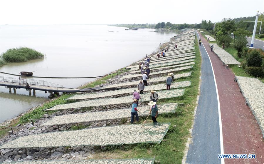 #CHINA-ANHUI-CHAOHU LAKE-FISHERY-PRODUCTION (CN)