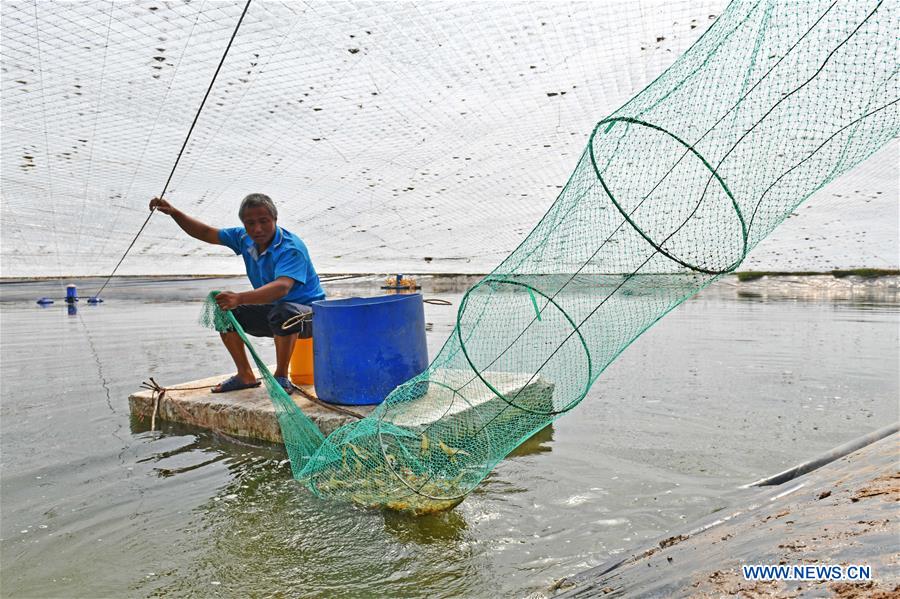 CHINA-NINGXIA-HELAN-PRAWN (CN)