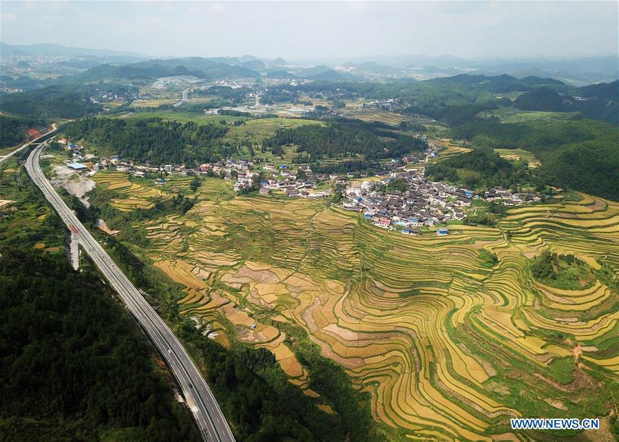 #CHINA-GUIZHOU-DANZHAI-TERRACED FIELDS (CN)