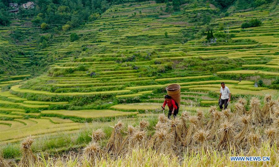 CHINA-CHONGQING-FARMWORK-TOURISM (CN)