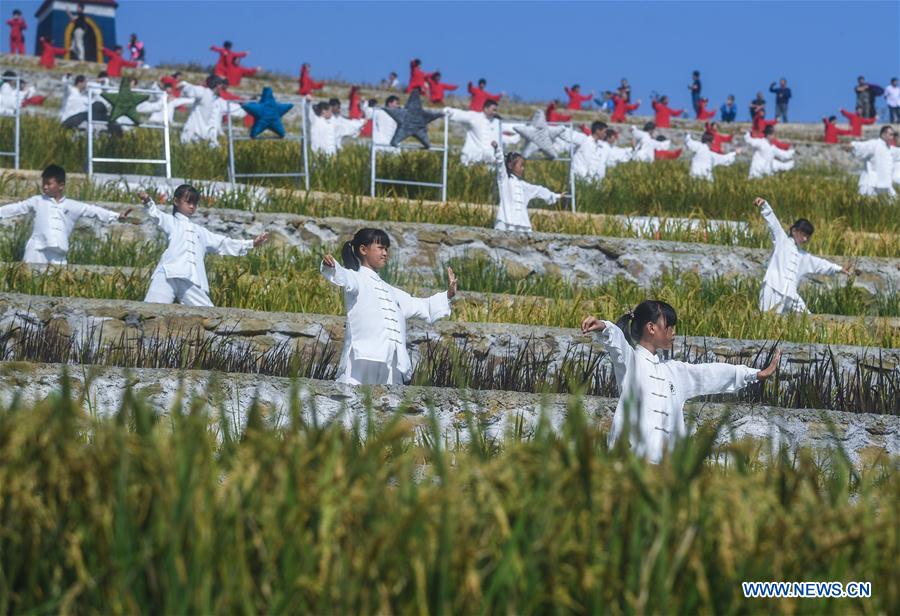 CHINA-ZHEJIANG-TAICHI-PERFORMANCE (CN)