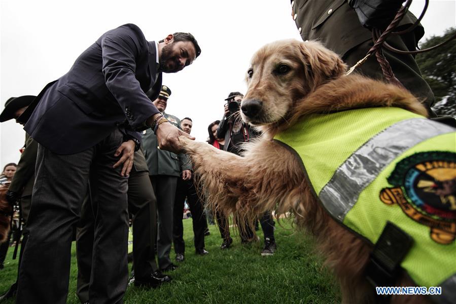 COLOMBIA-BOGOTA-WORLD ANIMAL DAY