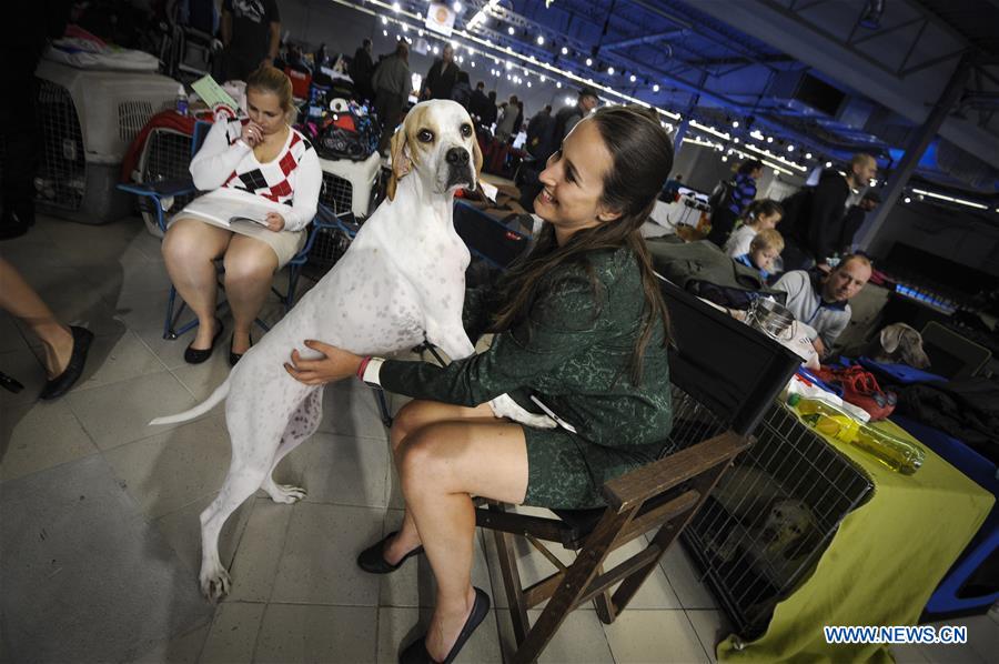 POLAND-NADARZYN-EURO DOG SHOW