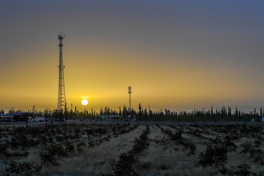 Xinhua Headlines: Man-made oasis: Xinjiang