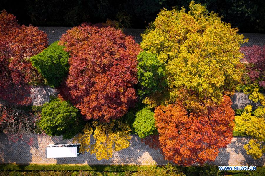 #CHINA-AUTUMN SCENERY (CN)