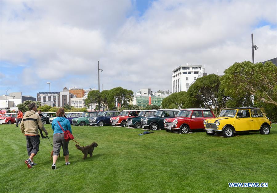 NEW ZEALAND-WELLINGTON-MINI COOPER-SHOW