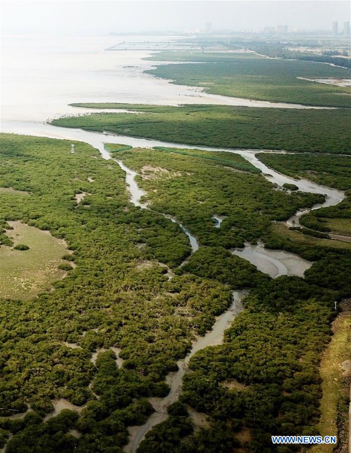 CHINA-GUANGXI-BEIHAI-MANGROVE CONSERVATION AREA(CN)