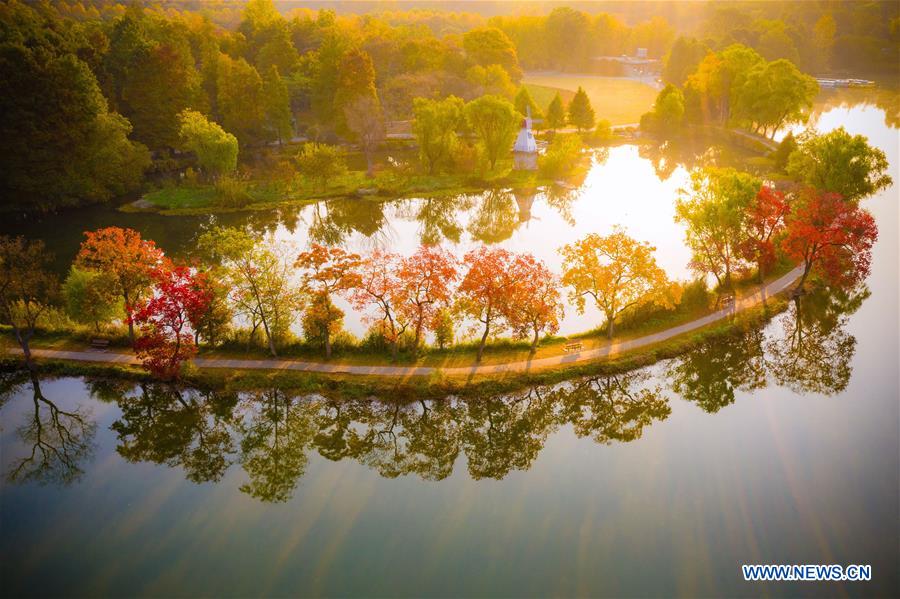 #CHINA-NANJING-AUTUMN SCENERY (CN)