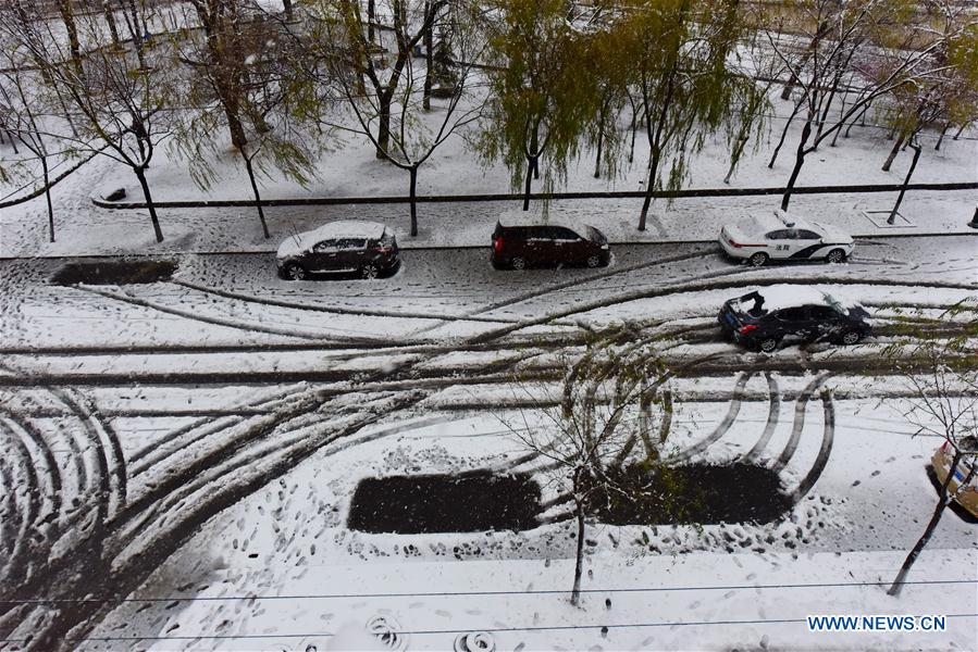 #CHINA-HEILONGJIANG-SNOWSTORM (CN)