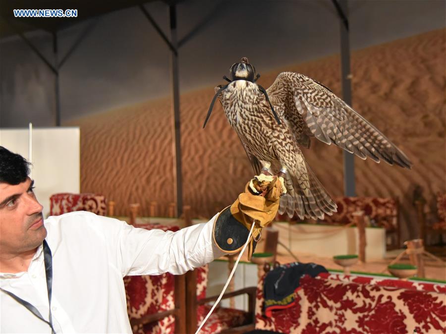 SAUDI ARABIA-RIYADH-FALCONS AND HUNTING EXHIBITION