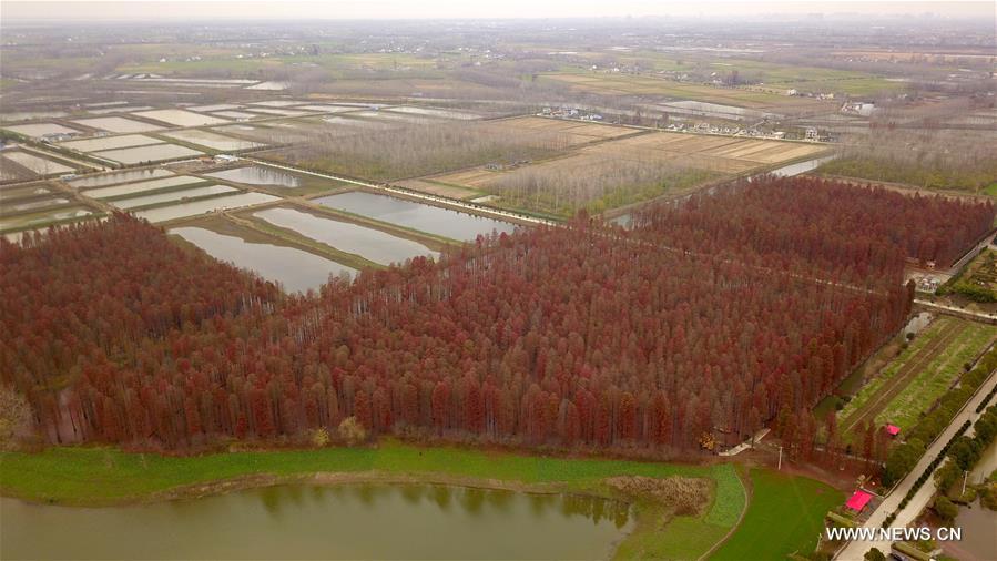 #CHINA-JIANGSU-YANGZHOU-SCENERY (CN)