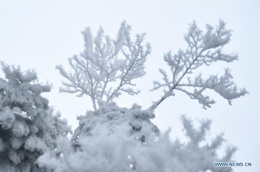 #CHINA-WINTER-RIME (CN)