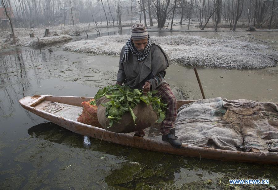 KASHMIR-SRINAGAR-COLD WEATHER