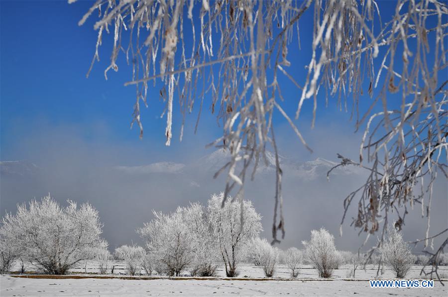 CHINA-TIBET-WINTER-RIME (CN)