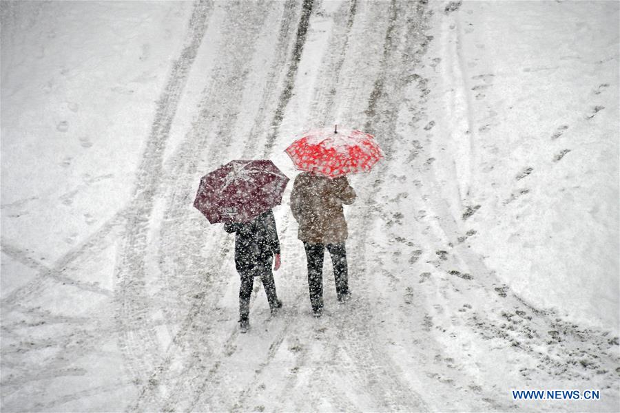 #CHINA-SHANDONG-SNOWFALL(CN)